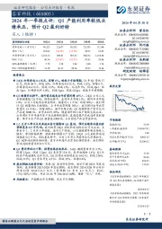 2024年一季报点评:Q1产能利用率较低业绩承压,预计Q2盈利好转
