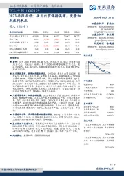 2023年报点评：硅片出货保持高增，竞争加剧盈利承压