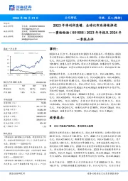 2023年年报及2024年一季报点评：2023年净利润高增，全球化布局持续推进