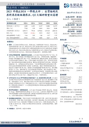 2023年报&2024一季报点评：出货结构及原料库存致短期承压，Q2大幅好转重回高增