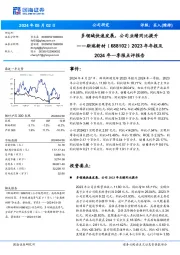 2023年年报及2024年一季报点评报告:多领域快速发展,公司业绩同比提升