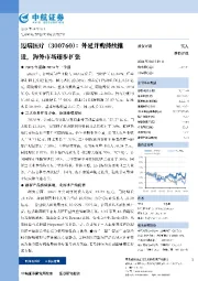 外延并购持续推进,海外市场逐步扩张