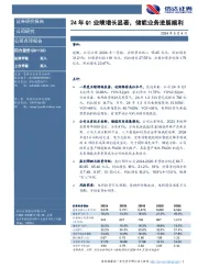 24年Q1业绩增长显著,储能业务进展顺利
