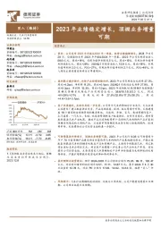 2023年业绩稳定增长,顶棚业务增量可期