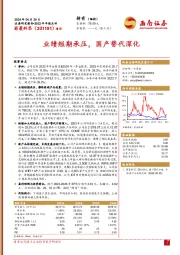 业绩短期承压,国产替代深化
