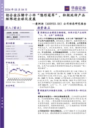 公司动态研究报告:铝合金压铸中小件“隐形冠军”,积极延伸产品矩阵迎全球化发展