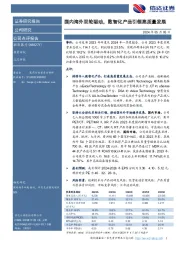 国内海外双轮驱动，数智化产品引领高质量发展