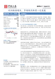 利润维持增长,多领域均取得一定进展