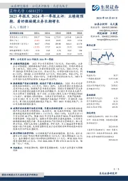 2023年报及2024年一季报点评：业绩超预期，看好微棱镜业务长期增长