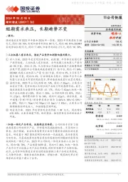 短期需求承压,长期趋势不变