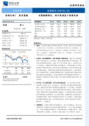 业绩稳健增长,海外高端客户持续突破