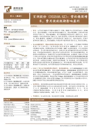 营收稳固增长,费用投放短期影响盈利