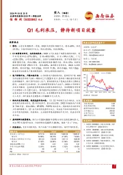 2024年一季报点评：Q1毛利承压，静待新项目放量