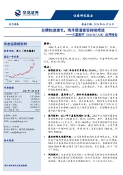点评报告:业绩快速增长,海外渠道建设持续推进