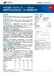 年报点评：锂原料完全实现自给，加大铜领域布局