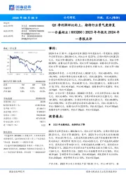 2023年年报及2024年一季报点评：Q1净利润环比向上，期待行业景气度修复