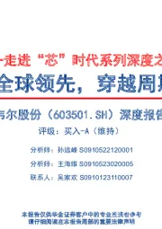 深度报告：走进“芯”时代系列深度之七十八“韦尔股份”-CIS技术全球领先，穿越周期再启航