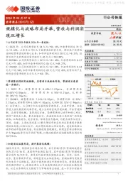 规模化与战略布局并举，营收与利润实现双增长