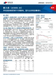 净利润持续受海外亏损影响，国内业务高质量增长