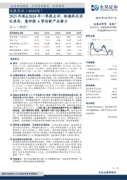 2023年报&2024年一季报点评，短期承压消化库存，看好羟A等创新产品潜力