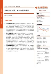 2024年一季报点评：业绩小幅下滑，毛利率提升明显