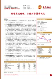 2023年年报点评：销售表现稳健，土储财务持续优化