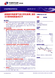 新能源市场高景气助力营收高增，股份支付影响短期盈利水平