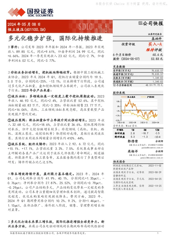 多元化稳步扩张，国际化持续推进