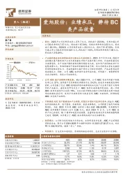 爱旭股份:业绩承压,静待BC类产品放量