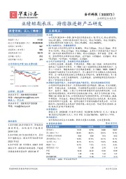 业绩短期承压，持续推进新产品研发