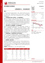 业绩短期承压,负极持续放量