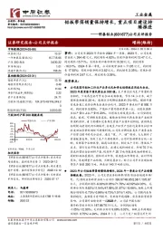 公司点评报告：铝板带箔销量保持增长，重点项目建设持续推进