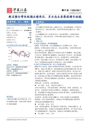 新店整合带来短期业绩承压,多业态业务展现增长动能