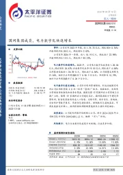 国网集团成员，电力数字化快速增长