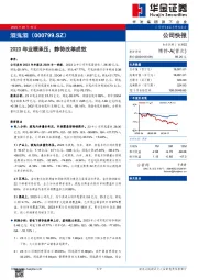 2023年业绩承压，静待改革成效