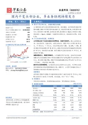 国内干变头部企业，多业务协同持续发力