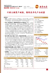 计提大额资产减值,期待差异化产品放量