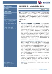 业绩短期承压,2024年有望恢复增长