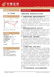 业绩符合预期,新材料业务多元化发展