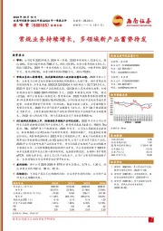 常规业务持续增长,多领域新产品蓄势待发