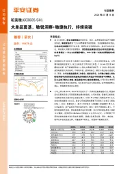 大单品奠基,敏锐洞察+敏捷执行,持续突破