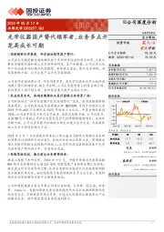 光学仪器国产替代领军者,业务多点开花高成长可期