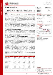 业绩短期承压，再融资20亿提升操作系统核心竞争力