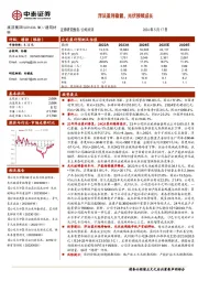 浮法盈利稳健,光伏接续成长