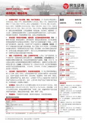 深度报告:威震乾坤,腾龙出海