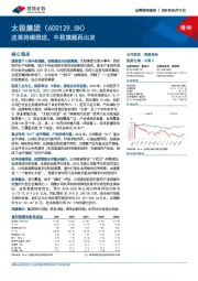 改革持续推进，中药旗舰再出发