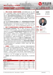 首次覆盖报告:预期差较大的国产AI芯片引领者