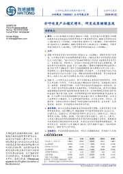 公司年报点评：非呼吸类产品稳定增长，研发成果继续显现