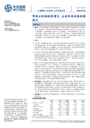 公司年报点评：常规业务维持高增长，全球布局战略持续深化