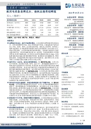 配用电设备老牌龙头,扬帆出海再创辉煌